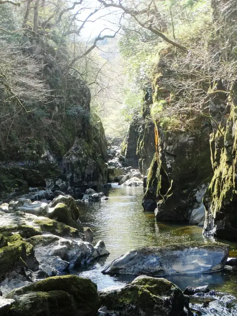 Photo of Fairy Glen, a gorge near Betws-y-Coed in Eryri, Conwy, north Wales.