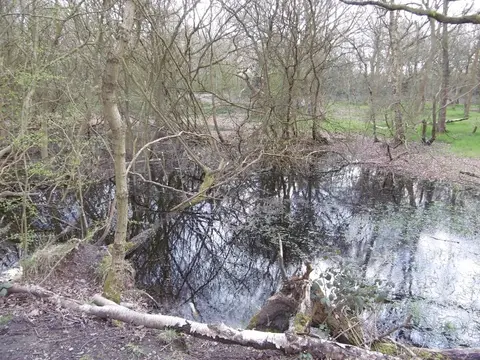 Photo of Roughwood Country Park, a country park near Wolverhampton, the West Midlands, central England.