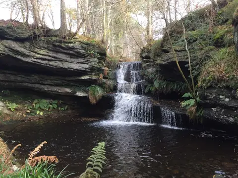 Photo of Roughting Linn, a waterfall near Ford, Northumberland, north east England.