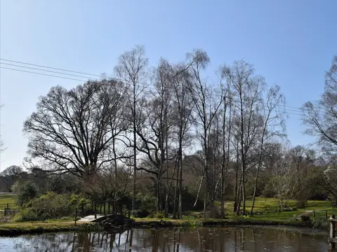Photo of Furzey Gardens, a garden near Minstead in the New Forest, Hampshire, south east England.