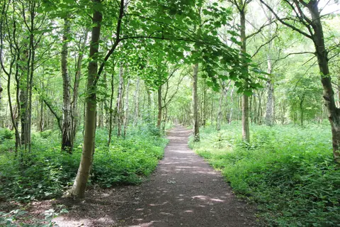 Photo of Little Budworth Country Park, a country park near Tarporley, Cheshire, north west England.