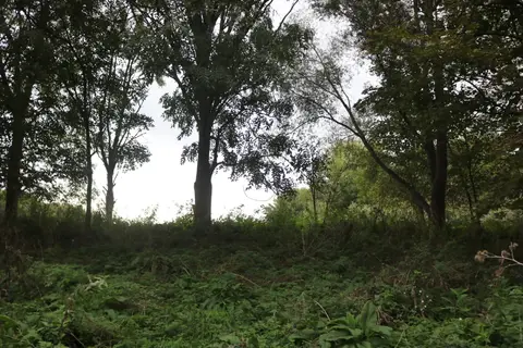 Photo of River Lee Country Park, a country park near Hertford, Essex, eastern England.