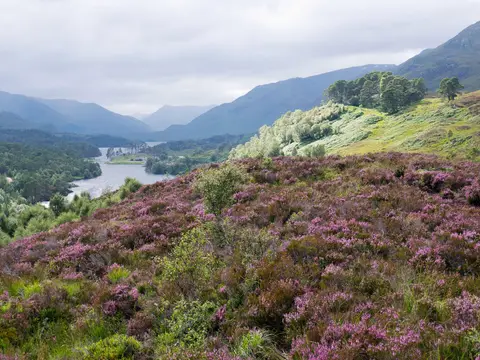 Photo: Glen Affric Viewpoint, a viewpoint near Cannich, Highland, the Scottish Highlands and Islands.