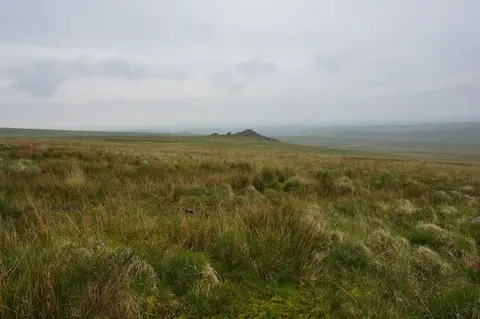 Photo of Trowlesworthy, a country estate near Ivybridge in Dartmoor, Devon, south west England.