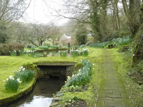 Photo of Docton Mill Gardens, a garden near Hartland, Devon, south west England.