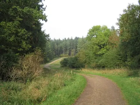 Photo of Fineshade Wood, a visitor attraction near King's Cliffe, Northamptonshire, central England.