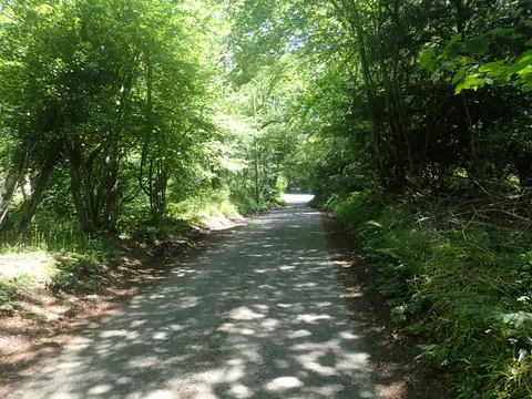 Photo of Nap Wood, a nature reserve near Rotherfield in the High Weald, East Sussex, south east England.