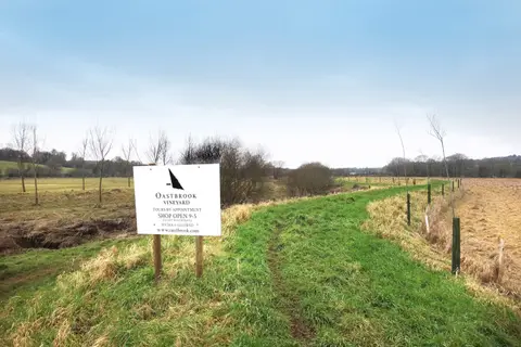 Photo of Oastbrook Estate Vineyard, a vineyard near Bodiam in the High Weald, East Sussex, south east England.