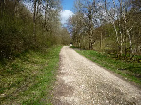 Photo of Queen Elizabeth Country Park, a country park near Buriton in the South Downs, Hampshire, south east England.