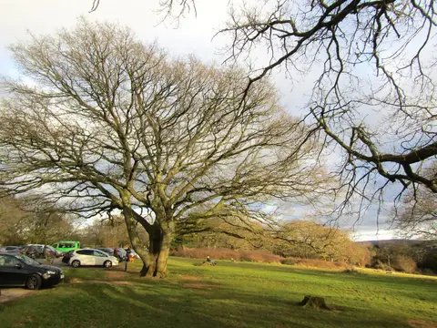 Photo: Newlands Corner, a viewpoint near Albury, Surrey, south east England.