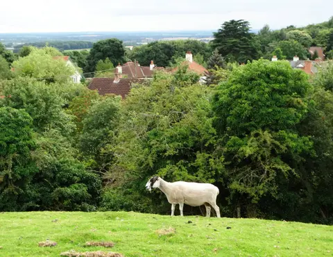 Photo: Beacon Hill, Gringley, a viewpoint near Gringley on the Hill, Nottinghamshire, central England.