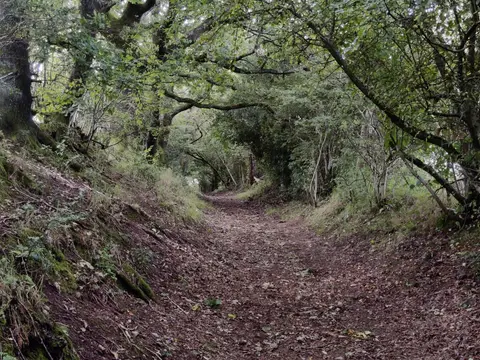 Photo of Waseley Hills Country Park, a country park near Barnt Green, Worcestershire, central England.