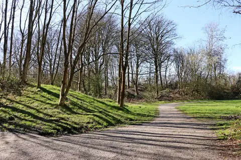 Photo of Baggeridge Country Park, a country park near Wolverhampton, Staffordshire, central England.