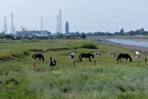 Photo of Havenside Country Park, a country park near Boston, Lincolnshire, central England.