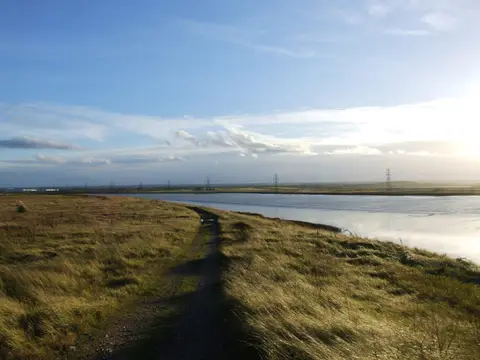 Photo of The Swale, a National Nature Reserve near Faversham, Kent, south east England.