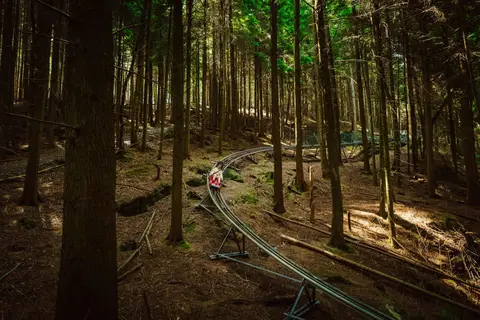 Photo of Fforest Coaster, a visitor attraction near Betws-y-Coed in Eryri, Conwy, north Wales.