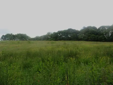 Photo of Plessey Woods Country Park, a country park near Newbiggin-by-the-Sea, Northumberland, north east England.