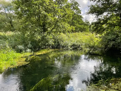 Photo of Winnall Moors, a nature reserve near Winchester in the South Downs, Hampshire, south east England.