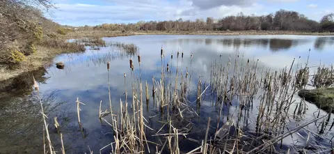 Photo of Merkinch Local Nature Reserve, a nature reserve near North Kessock, Highland, the Scottish Highlands and Islands.