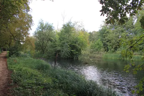Photo of Hinchingbrooke Country Park, a country park near Godmanchester, Cambridgeshire, eastern England.