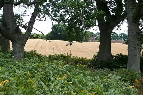 Photo of Woolbeding Countryside, a country estate near Easebourne in the South Downs, West Sussex, south east England.