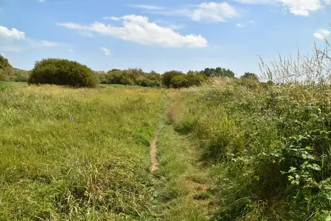 Photo of Filsham Reedbed, a nature reserve near Hastings, East Sussex, south east England.