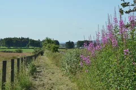Photo along the Annandale Way, a long-distance trail running from Annanhead to Annan, southern Scotland.