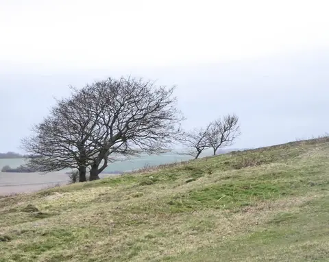 Photo of Cissbury Ring, a hillfort near Findon in the South Downs, West Sussex, south east England.