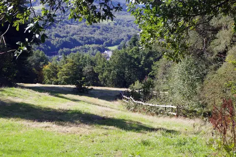 Photo of Pontypool Park, a landmark near Llanover, Torfaen, south east Wales.