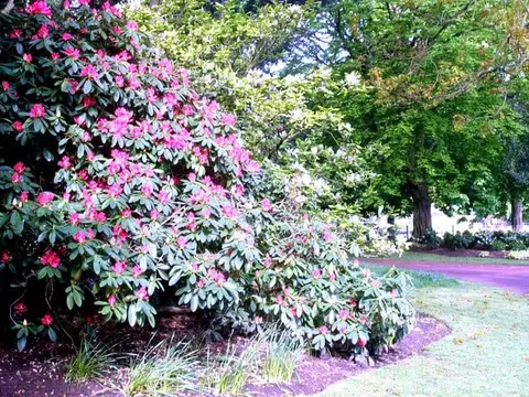 Photo of West Park, a Grade II* registered house & garden near Wolverhampton, the West Midlands, central England.