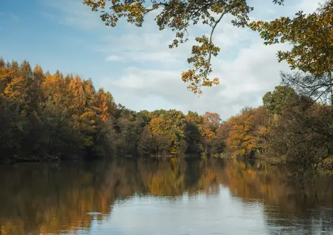 Photo of Cannop Ponds, a Lake near Newland, Gloucestershire, south west England.
