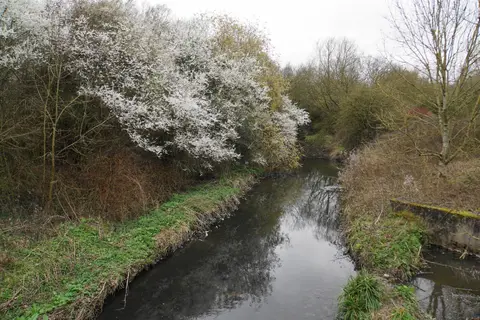 Photo of Arrow Country Park, a country park near Feckenham, Worcestershire, central England.