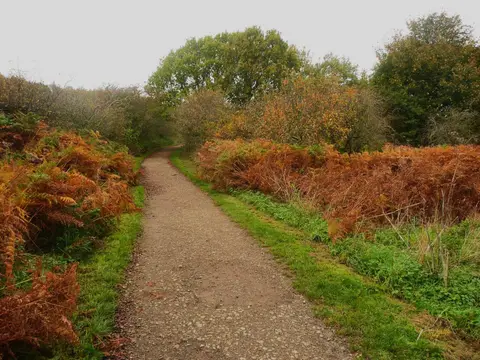 Photo of Flatts Lane Woodland Country Park, a country park near Middlesbrough, North Yorkshire, northern England.