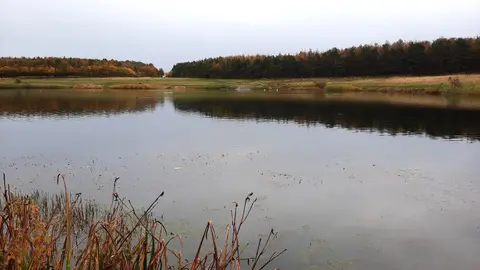 Photo of Queen Elizabeth Ii Country Park, a country park near Newbiggin-by-the-Sea, Northumberland, north east England.