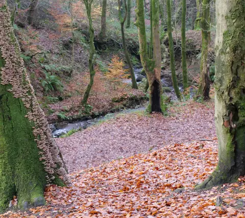 Photo of Rivington Terraced Gardens, a garden in Lancashire, north west England.