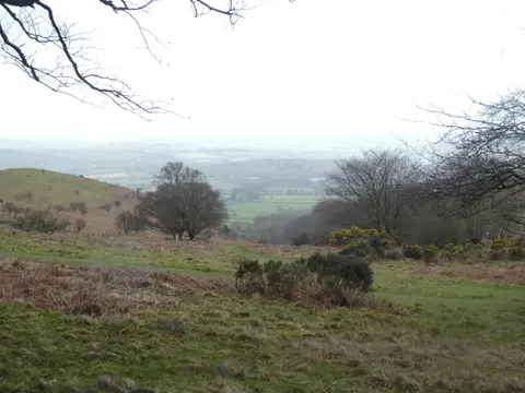Photo of Triscombe Hills, a country estate near Crowcombe in the Quantock Hills, Somerset, south west England.