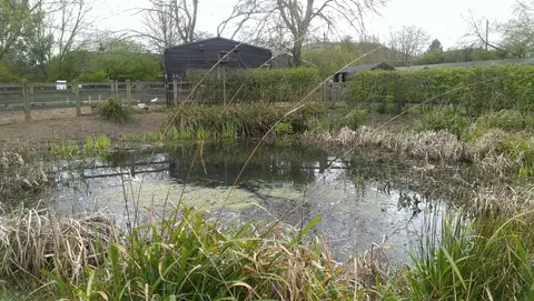 Photo of Aldenham Country Park, a country park near Watford, Hertfordshire, eastern England.