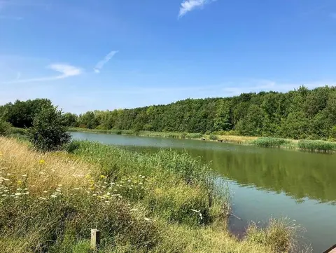 Photo of Cotgrave Country Park, a country park near Cropwell Bishop, Nottinghamshire, central England.