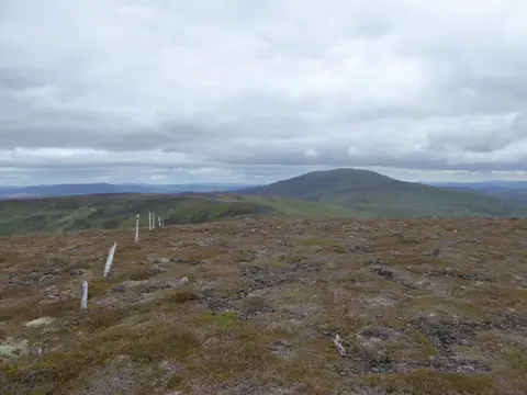 Photo: Mona Gowan, a 749m hill near Ballater in the Cairngorms, Aberdeenshire, north east Scotland.