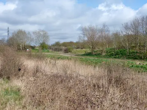 Photo of Church Marshes Country Park, a country park near Faversham, Kent, south east England.