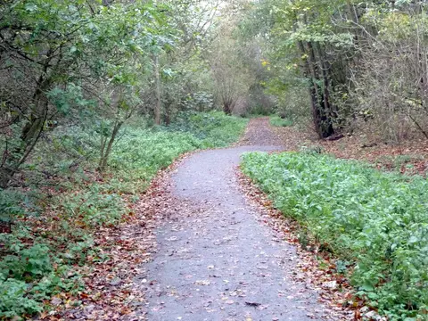Photo of Westley Heights Country Park, a country park near Laindon, Essex, eastern England.