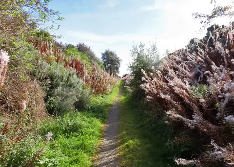 Photo along the Formartine and Buchan Way, a long-distance trail running from Dyce to Fraserburgh, north east Scotland.