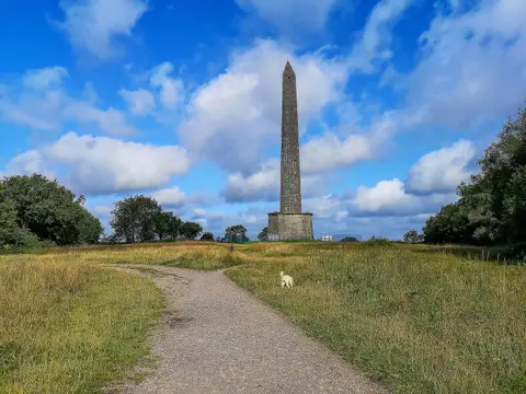 Photo of Wellington Monument, a folly near Tiverton Parkway in the Blackdown Hills, Somerset, south west England.