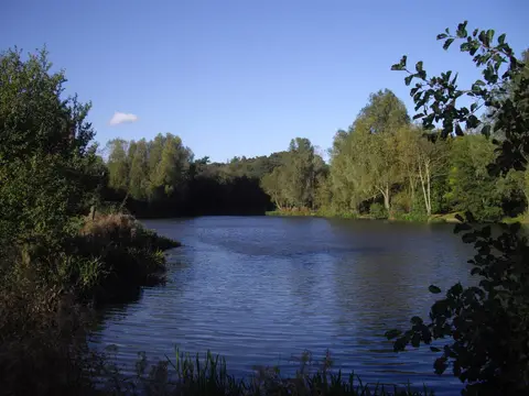 Photo of High Woods Country Park, a country park near Colchester, Essex, eastern England.