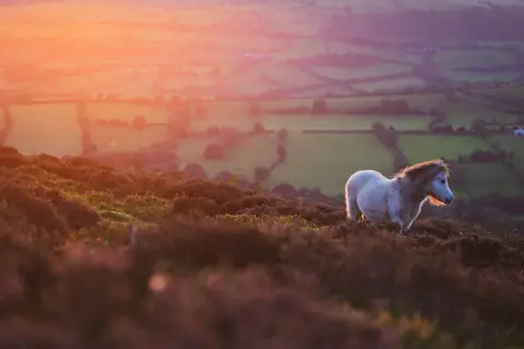 Photo of the Quantock Hills, a National Landscape in Somerset, south west England.