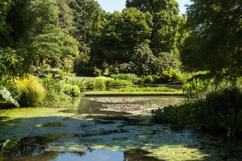 Photo of Beth Chatto Gardens, a garden near Elmstead Market, Essex, eastern England.