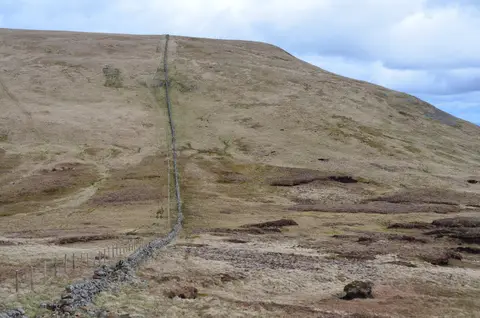 Photo: Lochcraig Head, an 801m hill in the Scottish Borders, southern Scotland.
