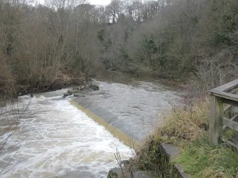 Photo of Derwent Walk Country Park, a country park near Newcastle upon Tyne, Tyne and Wear, north east England.