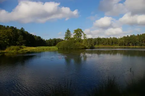 Photo of Cragside Country Park, a country park near Rothbury, Northumberland, north east England.
