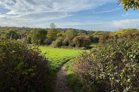 Photo of Newhall Valley Country Park, a country park near Coleshill, the West Midlands, central England.